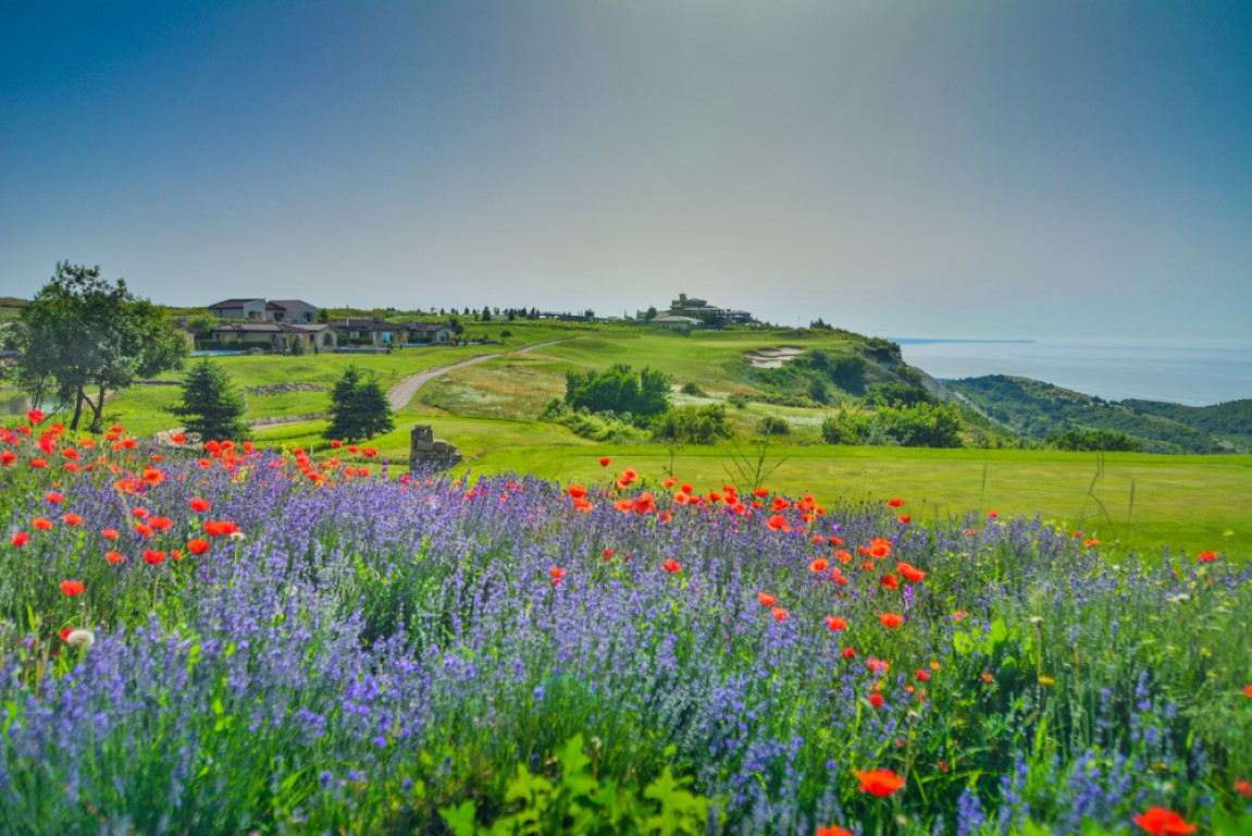 Black Sea Rama Golf  Villas
